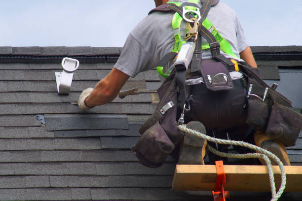 Best Roof Waterproofing Services  in Denison, IA