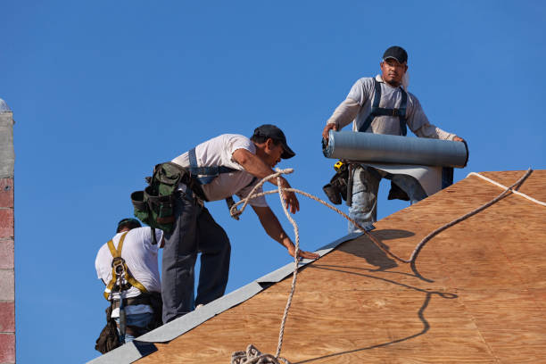 Sealant for Roof in Denison, IA