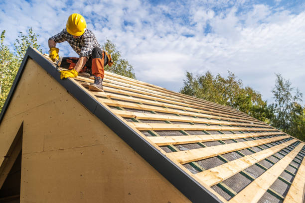 Best Residential Roofing Contractor  in Denison, IA