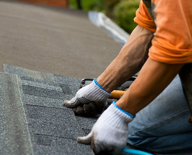 Best Storm Damage Roof Repair  in Denison, IA
