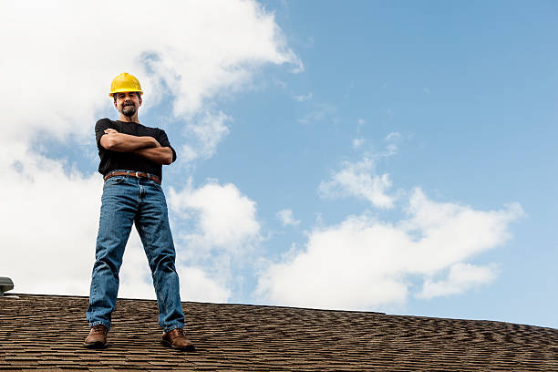Best Roof Leak Repair  in Denison, IA