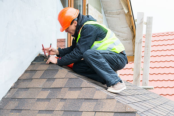 Best Roof Maintenance Services  in Denison, IA