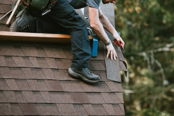 Best Roof Maintenance Services  in Denison, IA