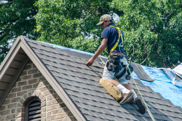 Best Best Roofing Contractors  in Denison, IA